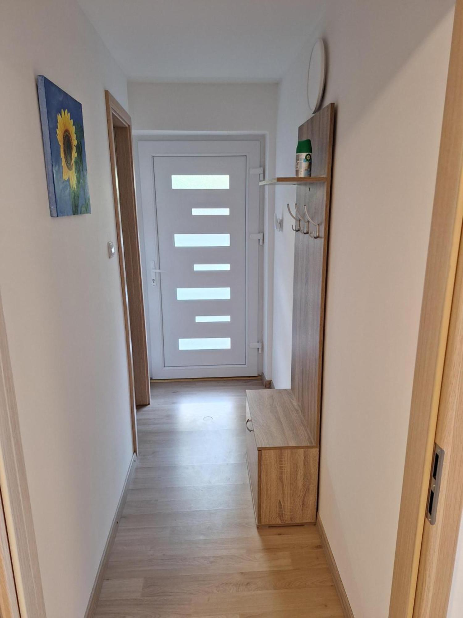 Apartment Belka Jesenice Esterno foto